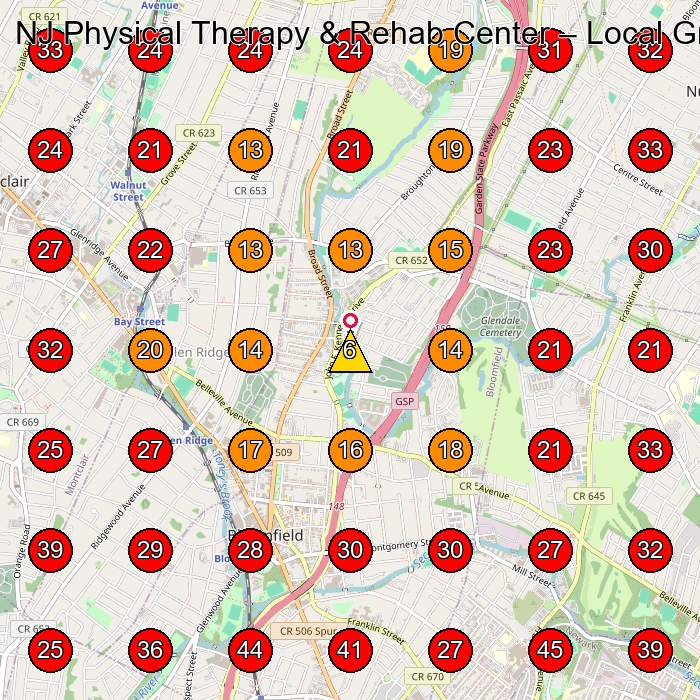 NJ Physical Therapy & Rehab Center GeoGrid visibility map for Physical Therapy Clinic in Newark